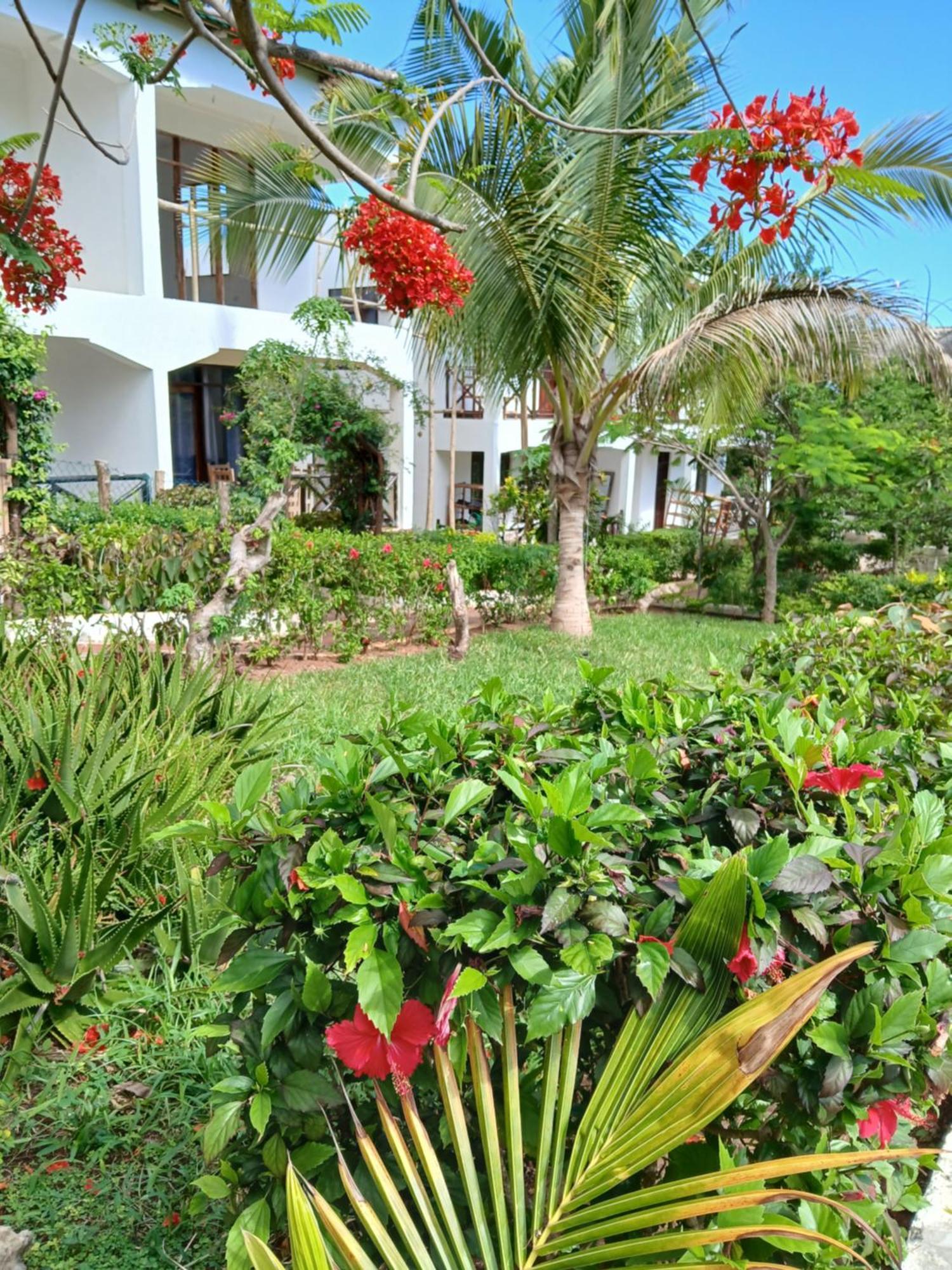 Majani Breeze Vila Nungwi Exterior foto