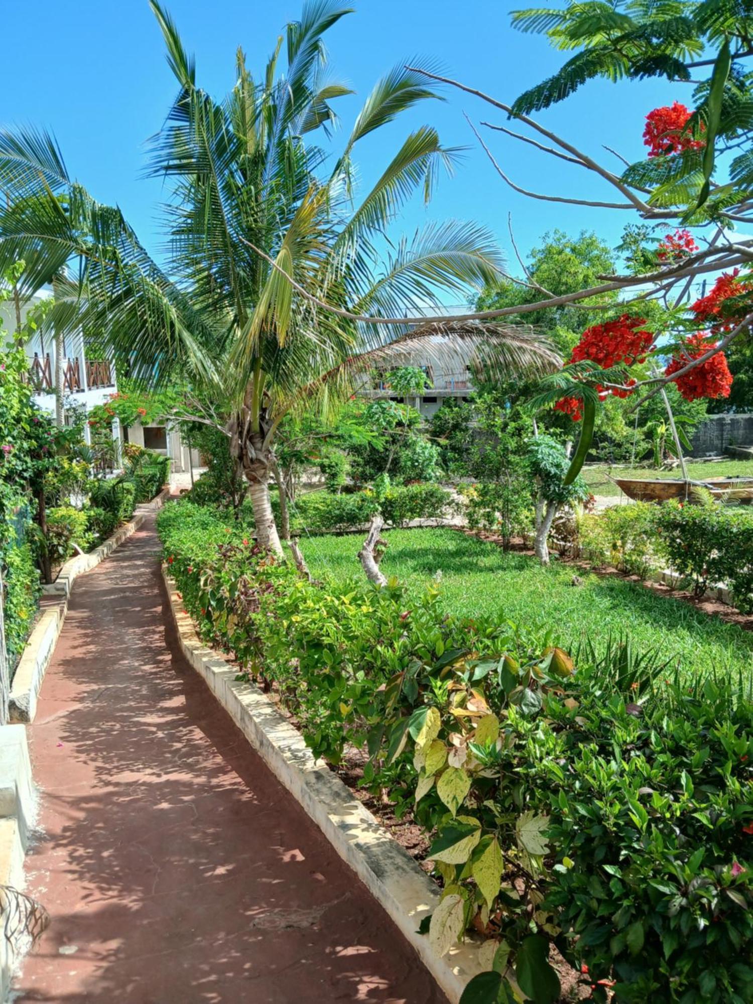 Majani Breeze Vila Nungwi Exterior foto